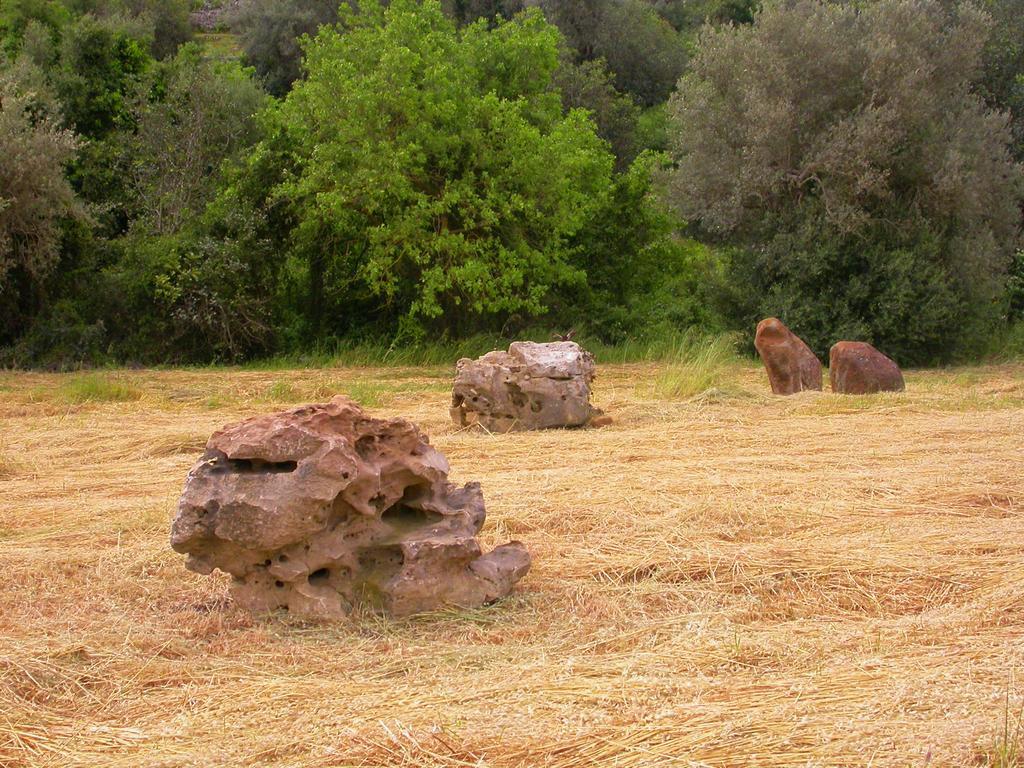 Hotel Relais Parco Cavalonga 4*